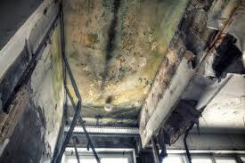 Mold Odor Removal Services in Mustang, OK